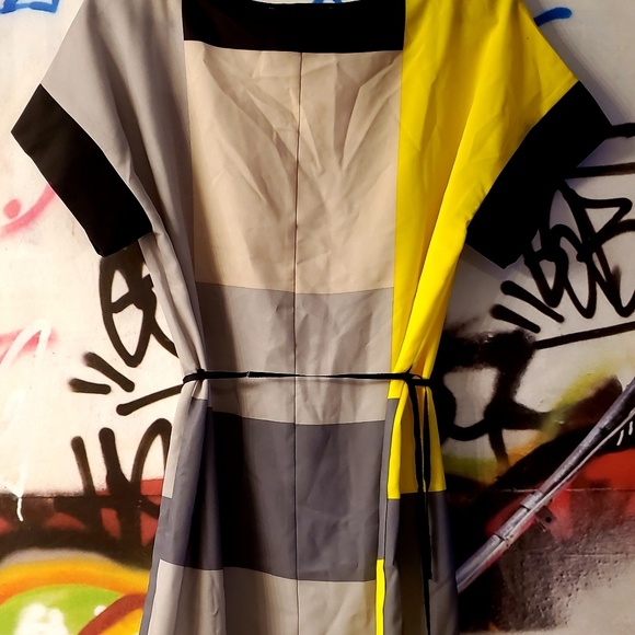 Reed Colorblocked Shift Dress - Picture 3 of 5